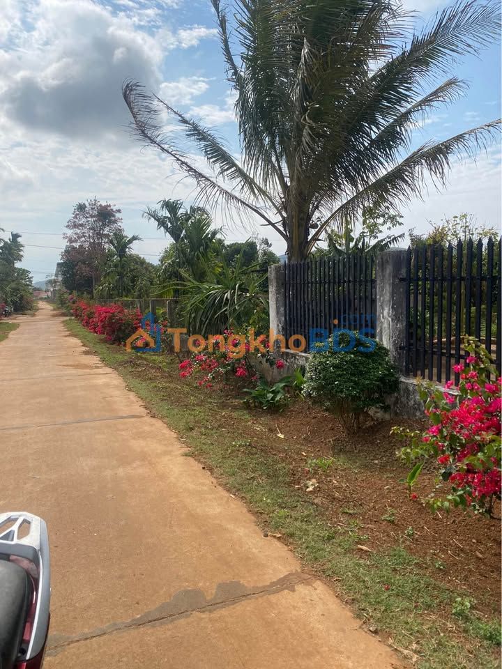 Đất Vườn Dray Bhăng Đắk Lắk 432m² - Ngang 12m Đẹp, Giá Đầu Tư