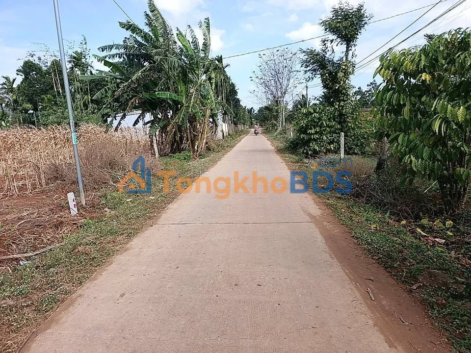 Đất Sổ Hồng Cư Kuin 130m² Giá 365 Triệu - Gần KCN, Chợ 19/8