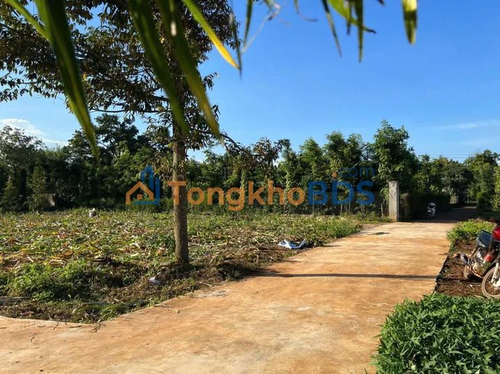 Đất nền Ea Tam 135m² 299 triệu - Sổ đỏ chính chủ