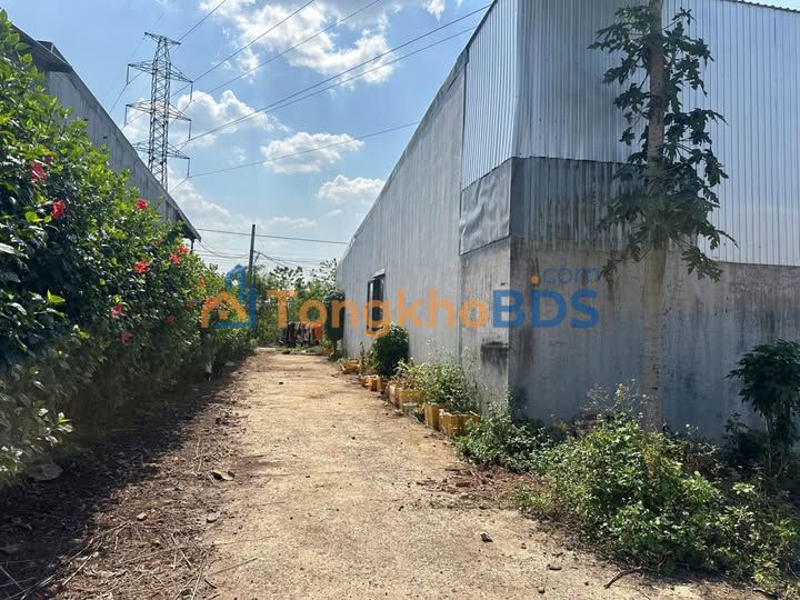 Đất Tạ Quang Bửu Buôn Ma Thuột 100m² 700 triệu - Giá tốt hiếm có