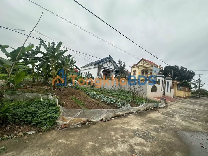 Đất Nền Đầu Mối Ân Thi 71.4m² - Sổ Đỏ Rõ Ràng, Giá Đầu Tư 1.5 Tỷ