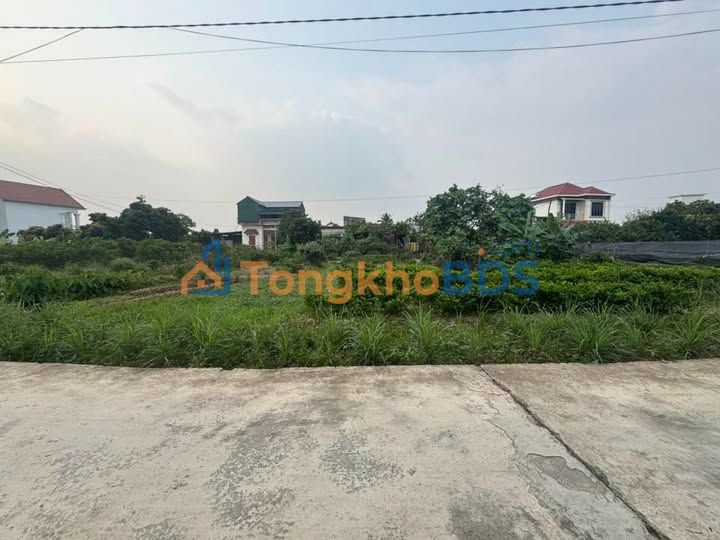 Đất thổ cư Thanh Hà, Hải Dương - 130m² sổ hồng vuông, ô tô 16 chỗ đậu cửa