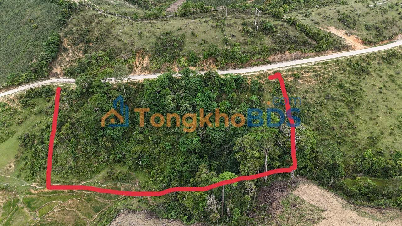 Đất Vườn Kon Tum - 1440m² Cách Măng Đen 10km Giá Tốt