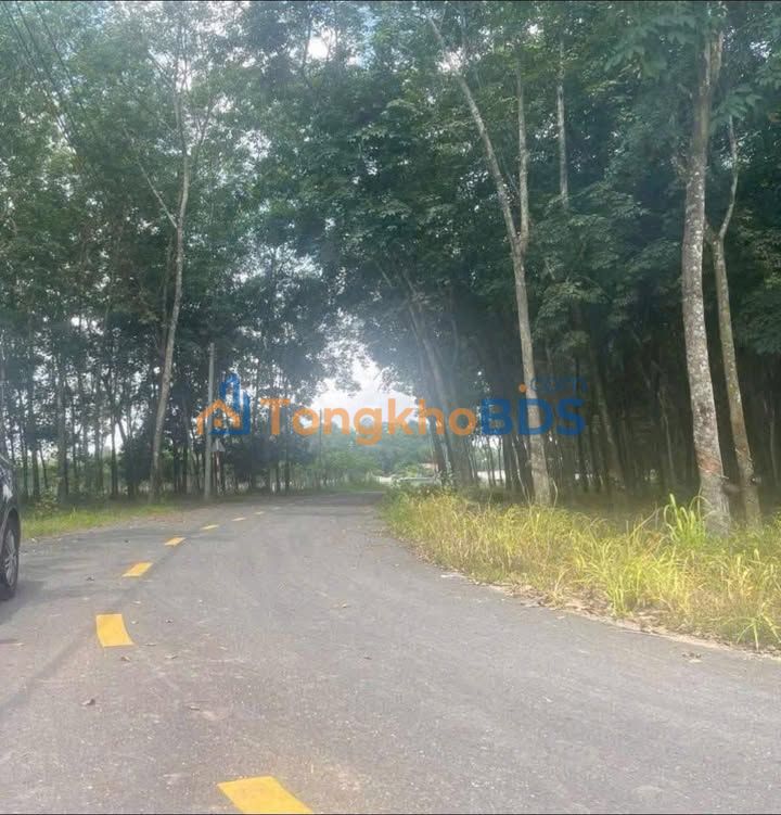 Bán Đất SKC 1.7ha Vĩnh Tân, Tân Uyên - Giá Hời Chỉ Hơn 3 Triệu/m²