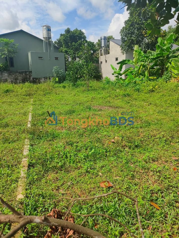 Bán đất Thượng Đình, Phú Bình 188.8m² Sổ đỏ chính chủ