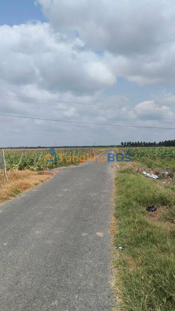 Đất nền Sóc Trăng 600m² - Lộ nhựa 7m, Giá 400 Triệu, Đầu tư sinh lời