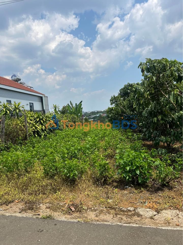 Đất Nền 162m² Hẻm Nguyễn Tri Phương, Bảo Lộc - Giá Tốt 1.65 Tỷ