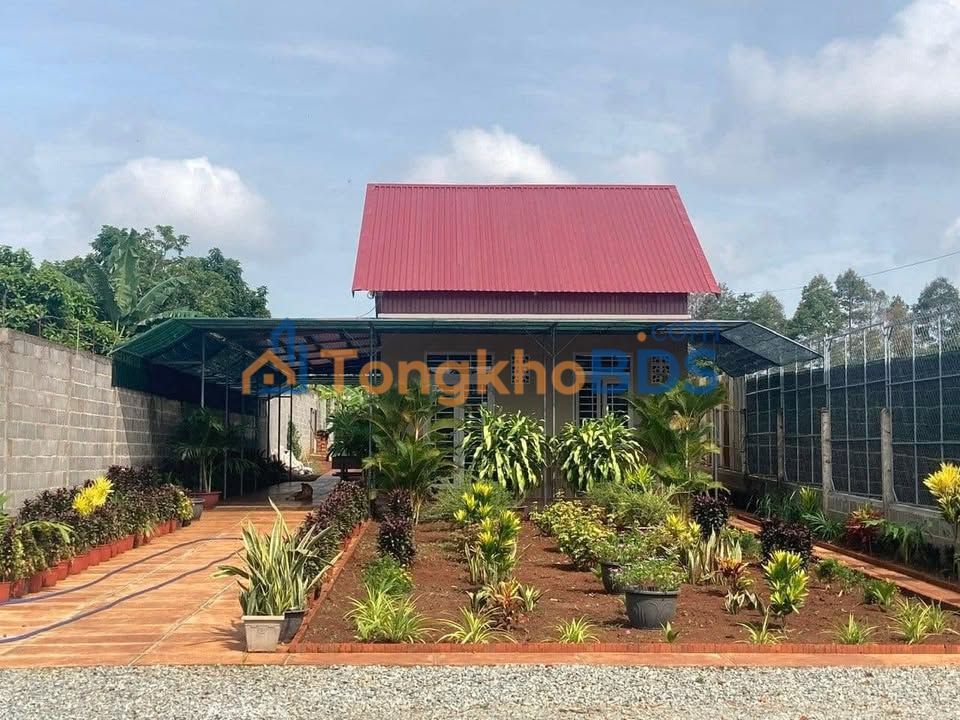 Nhà Củ Chi 500m² Sổ Hồng Riêng - Không Gian Xanh, Giá 1.35 Tỷ