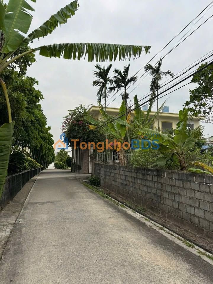 Đất nền Đông Phú, Tiền Hải: 88m² - Giá F0 chỉ từ 6xx triệu