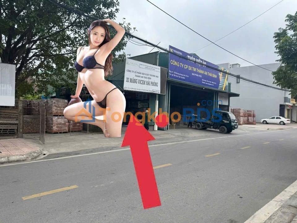 Đất nền 80m² Phố Hoàng Vinh, Tiền Hải - Hướng Bắc, Giá Tốt