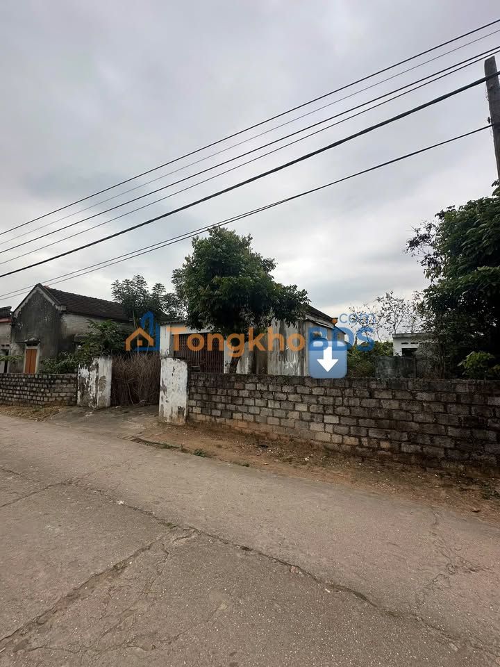 Bán Đất Lục Ngạn 178m² Hơn 600 Triệu - Sổ Đỏ Sẵn Sàng