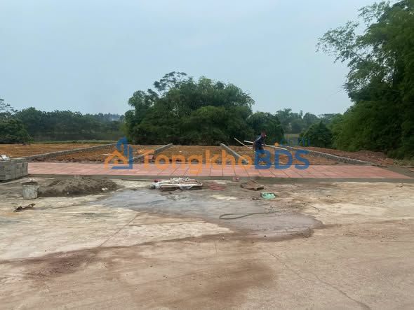 Đất Nền 110m² Tân Yên, Bắc Giang - Sổ Đỏ Full Thổ Cư, Giá Đầu Tư 1.2 Tỷ