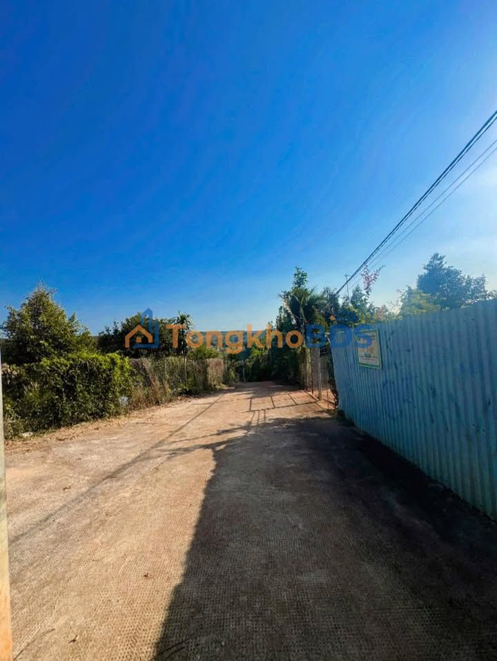 Đất Vườn Sầu Riêng 3.600m² Long Khánh - 3 Tỷ/Năm