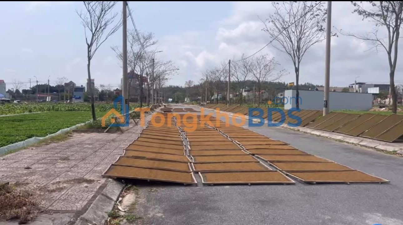 Đất Nền Vina Nga Văn Hướng - Thanh Hóa - 1.x Tỷ - Sẵn Sàng Kinh Doanh