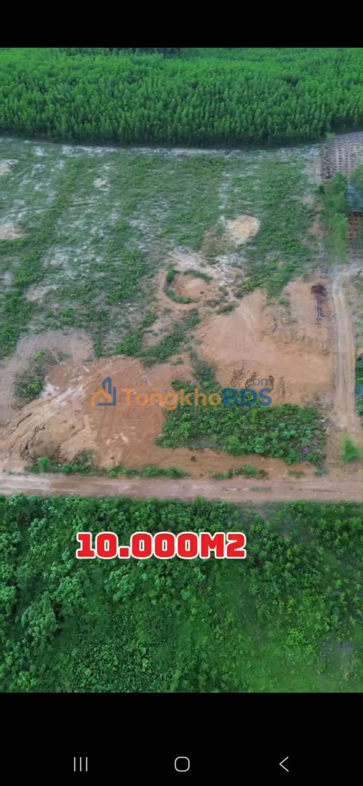 Đất Vườn Hòa Phú 10.000m² - View Trực Diện Bà Nà Hills, Sẵn Sàng Khai Thác Homestay