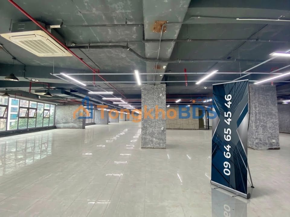 Văn phòng 300m² Mạc Thái Tổ, Cầu Giấy - Giá tốt, Sẵn sàng làm việc
