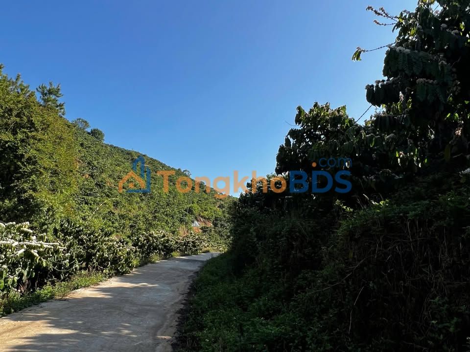 Bán Gấp Đất Vườn Lâm Hà 11000m² - Sổ Đỏ, Mặt Đường Bê Tông, Giá 2.7 Tỷ