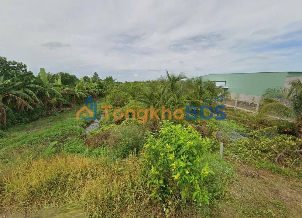 Đất Vĩnh Long 500m² - Lộ ô tô Đông Thuận, Sổ hồng 1.35 Tỷ