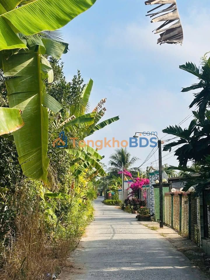 Đất Nền Vĩnh Long - Lộc Hòa, Long Hồ: 74.7m² Hướng Đông Nam, Sẵn Sổ Đỏ, Giá Tốt