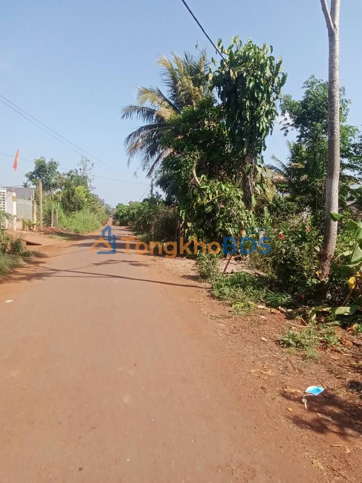 Bán đất 2 mặt tiền đường nhựa Krông Năng - 240m², 2.28 tỷ, bao phí