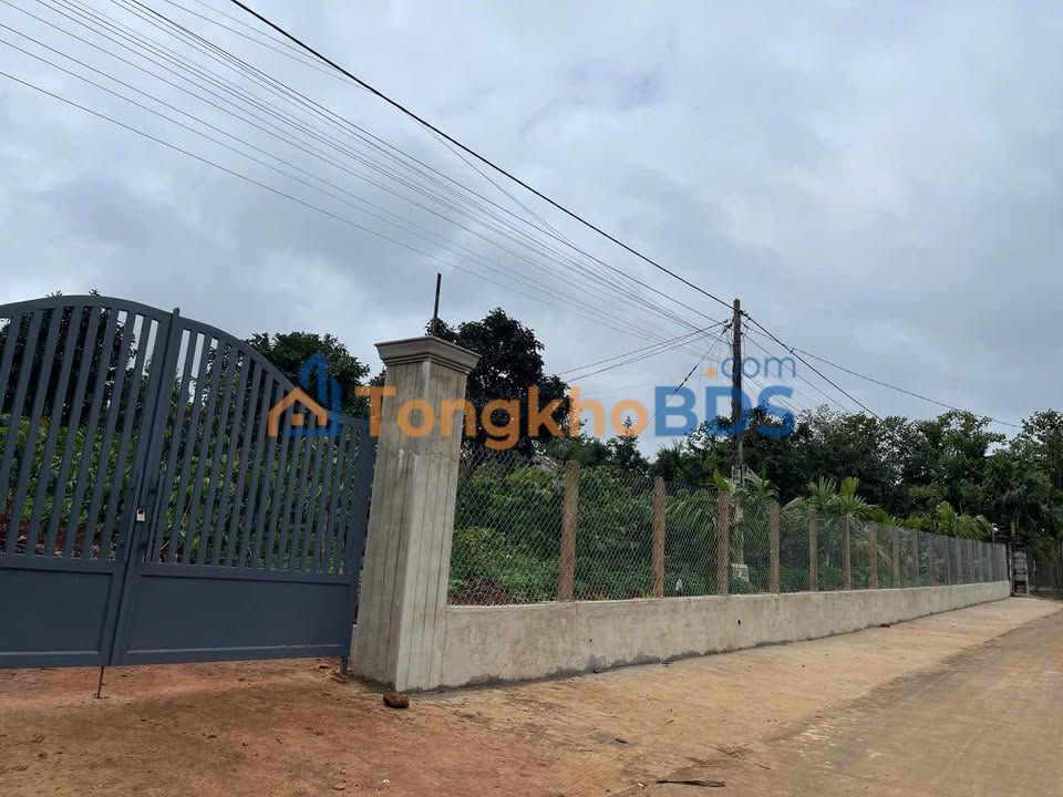 Đất Sổ Đỏ 1900m² Xuân Phú, Sông Cầu - Gần Chợ, Sẵn Tách 2 Lô