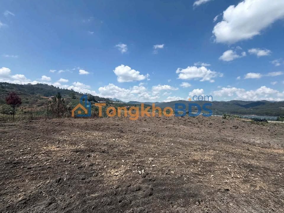 Cho thuê Đất Vườn 7200m² Đạ Nhim, Lạc Dương - Tiềm năng sinh lời cao