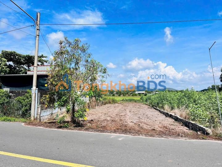 Đất nền Phước Hải 648m² giá 3.8 tỷ - Sổ đỏ chính chủ