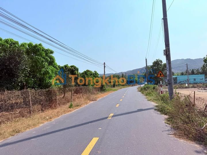 Bán Đất Vườn Xoài Phước Hải, Long Đất - 556m² Sẵn Thổ Cư, View Núi