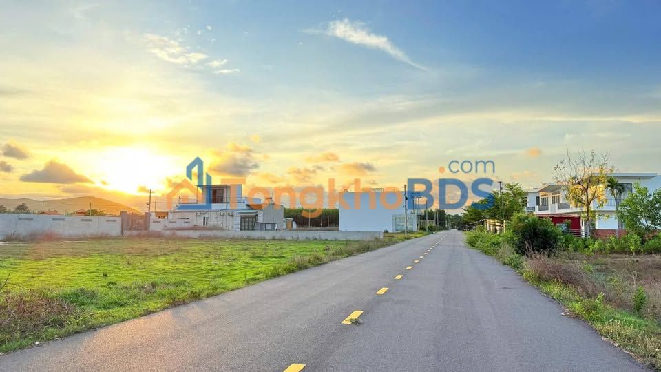 Đất Vườn Phước Hải, Đất Đỏ BRVT 1310m² - Sổ Đỏ Chính Chủ, Giá Đầu Tư 7.5 Tỷ