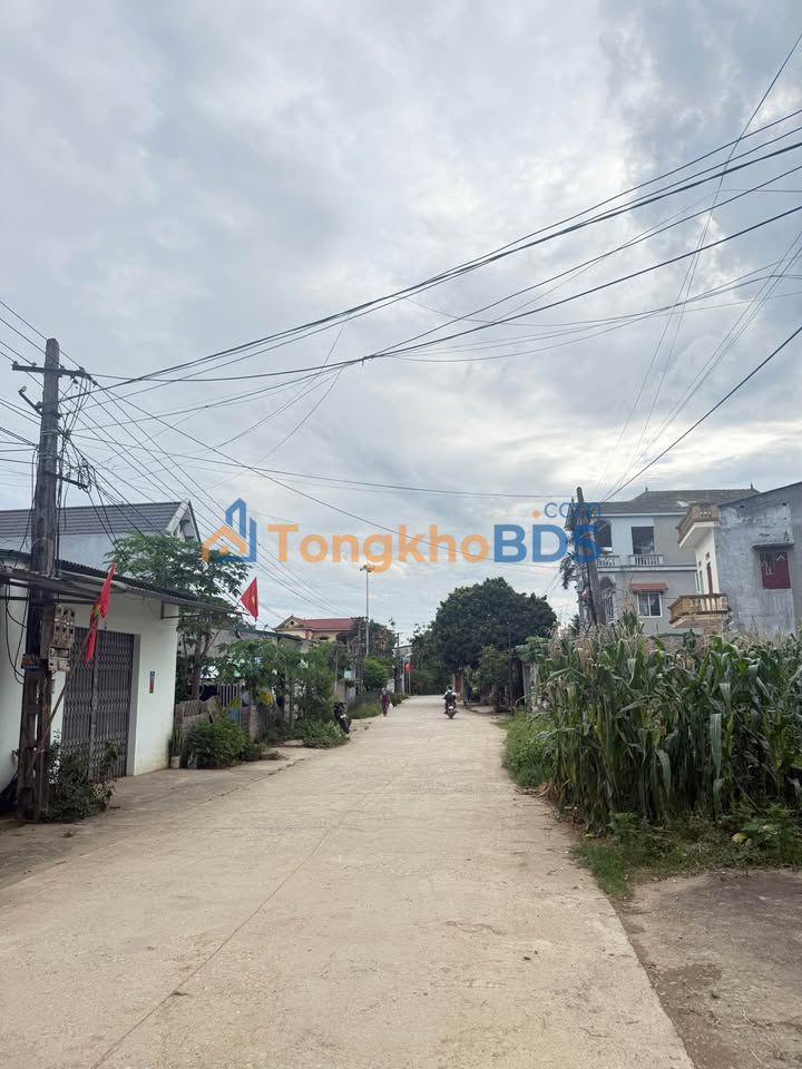 Đất nền Chương Mỹ 1.170m² 5,85 tỷ - Sổ đỏ chính chủ