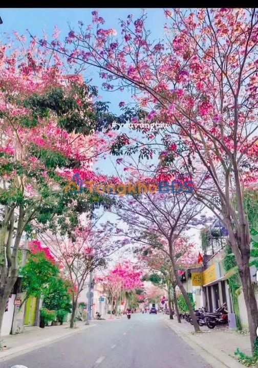 Đất nền Long Đất 81.8m² gần BV Bà Rịa - Giá 2.25 tỷ