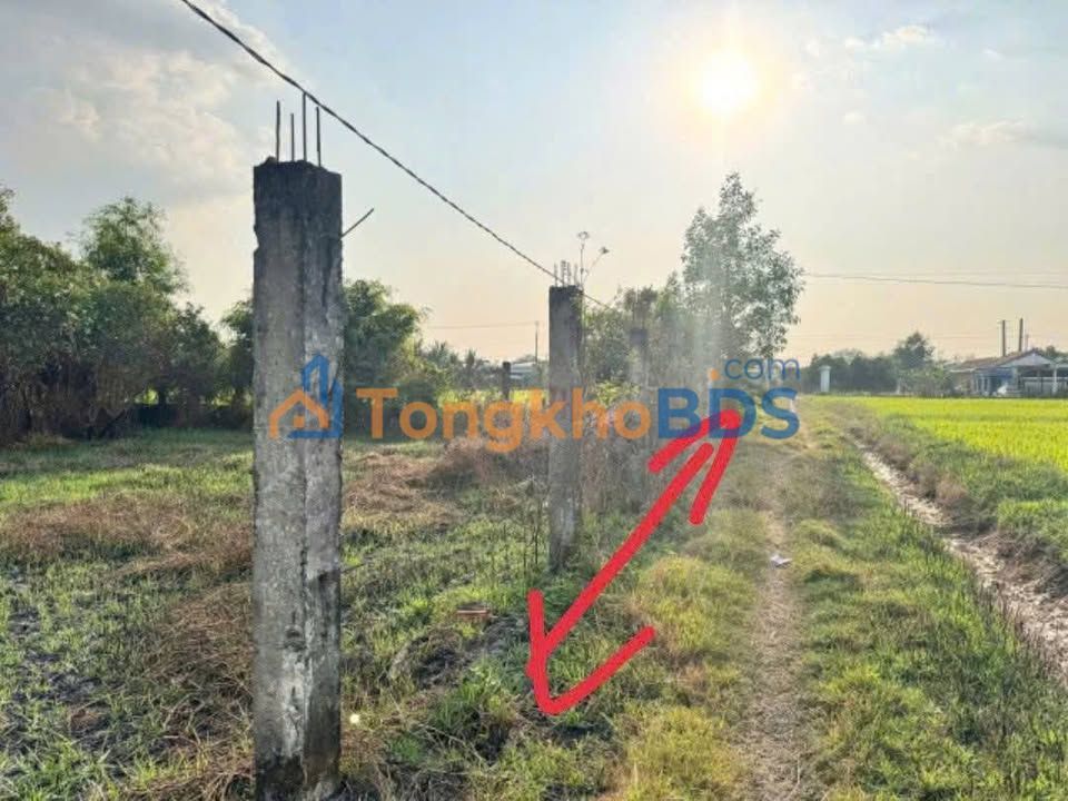 Đất Sổ Hồng Riêng 130m² Đức Hòa, Long An - Giá 570 Triệu