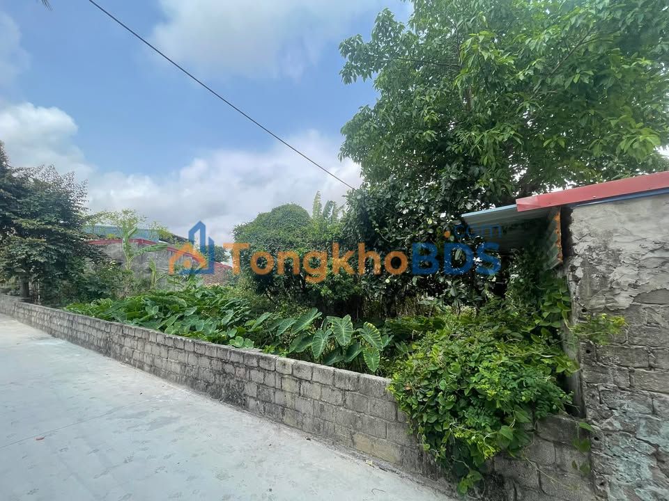 Đất 300m² Sổ Đỏ Chính Chủ Phù Liễn Kiến An - Ô Tô Tận Đất