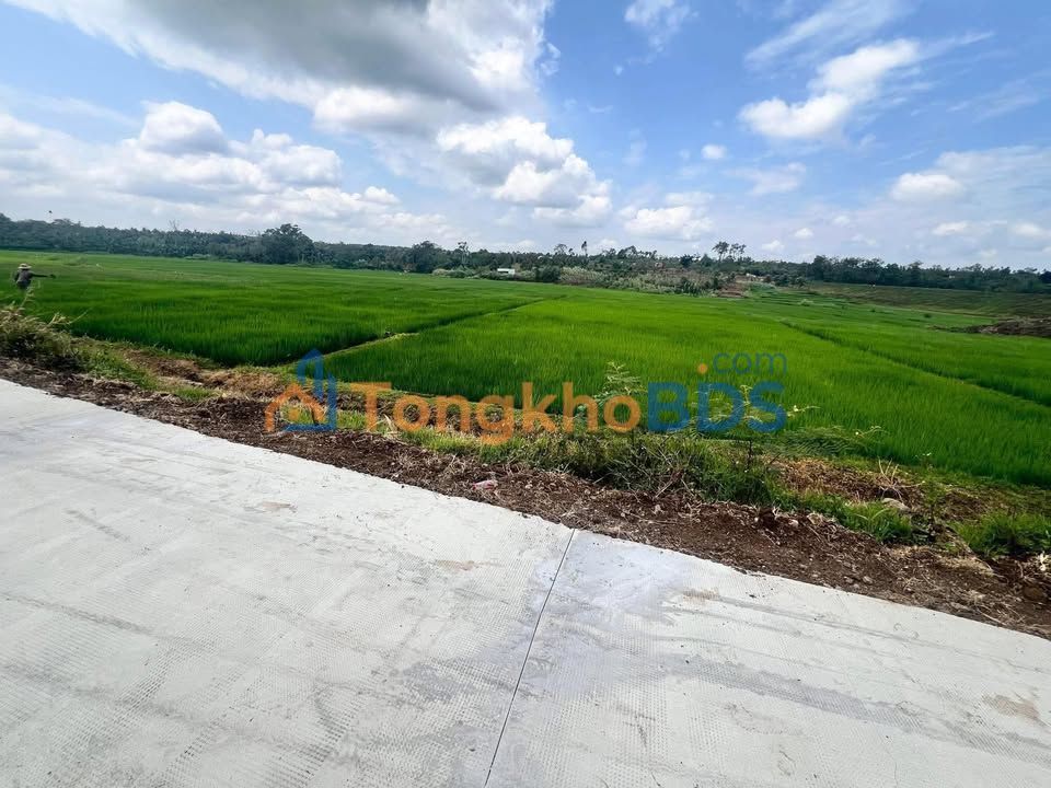 Đất nền Buôn Hồ 500m² - Sổ TC, Giá 5xx Triệu, View Ruộng Mát Mẻ