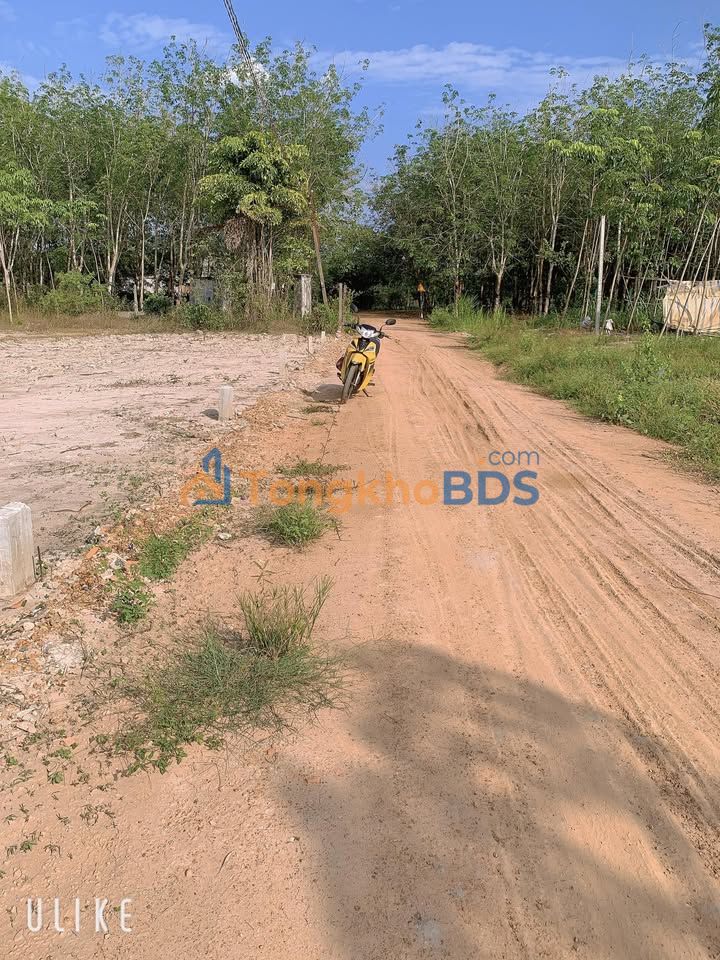 Đất Nền 175m² Sổ Hồng Thổ Cư, Tân Biên, Tây Ninh - Giá 155 Triệu