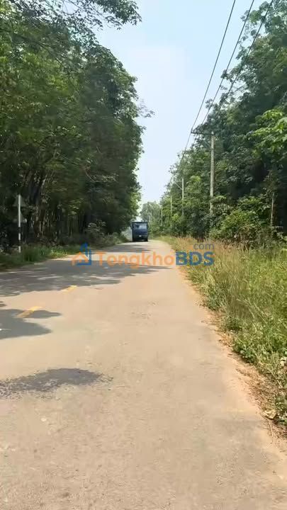 Đất Mặt Tiền DH415 - Bắc Tân Uyên, Bình Dương - 1200m², Sổ Hồng Riêng