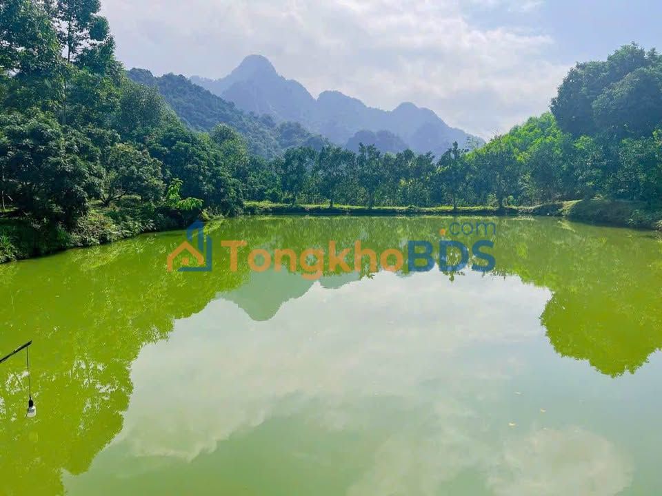 Bán đất trang trại 8897m² Xuân Thuỷ, Kim Bôi - Sẵn ao, cây ăn quả, view núi