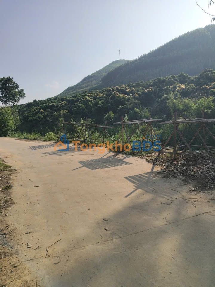 Đất Vườn 5548m² Bắc Giang - View Suối, Vải Trĩu Quả, Giá 2.7 Tỷ