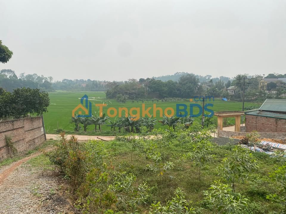 Đất Vườn Biệt Thự 515m² Xuân Lũng, Phú Thọ - View Cánh Đồng, Sổ Hồng