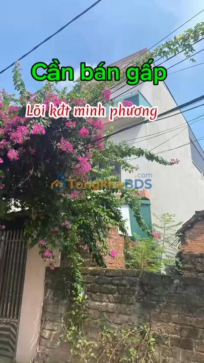 Bán Đất Tặng Nhà 3 Tầng 96m² Gần Đầm Sen, TP Việt Trì - Giá Thỏa Thuận