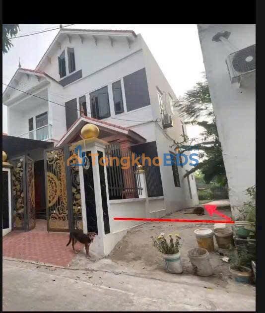 Đất nền Thọ Xuân, Đan Phượng 46.5m² - Giá đầu tư chỉ hơn 2 tỷ