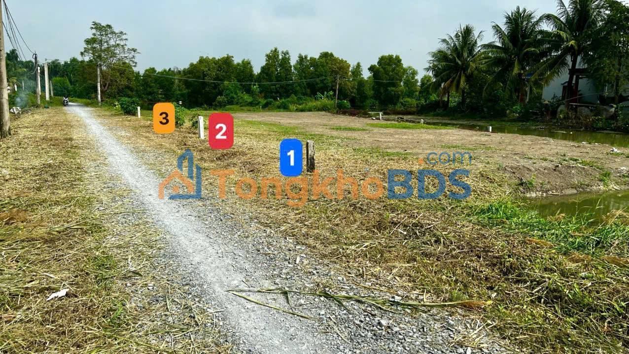 Đất thổ Cần Giuộc 106m² - Mặt tiền đường Cầu Đình, giá chỉ 650 triệu