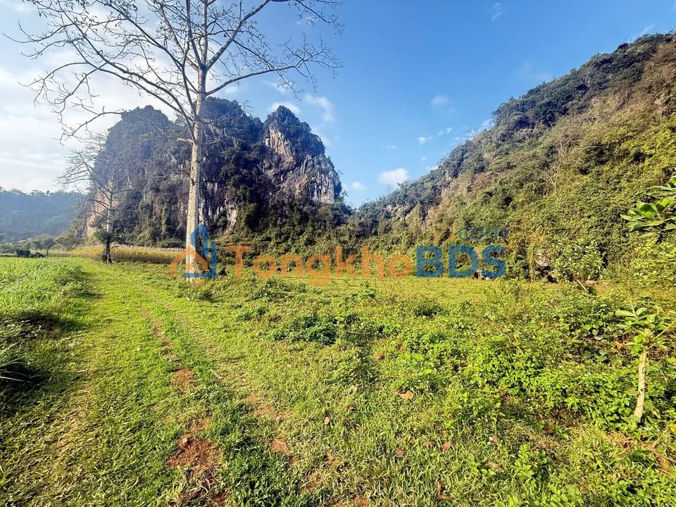 Đất Vườn Gia Lâm 994m² - View Độc Đáo, Giá Mềm - Sổ Hồng Sẵn Sàng