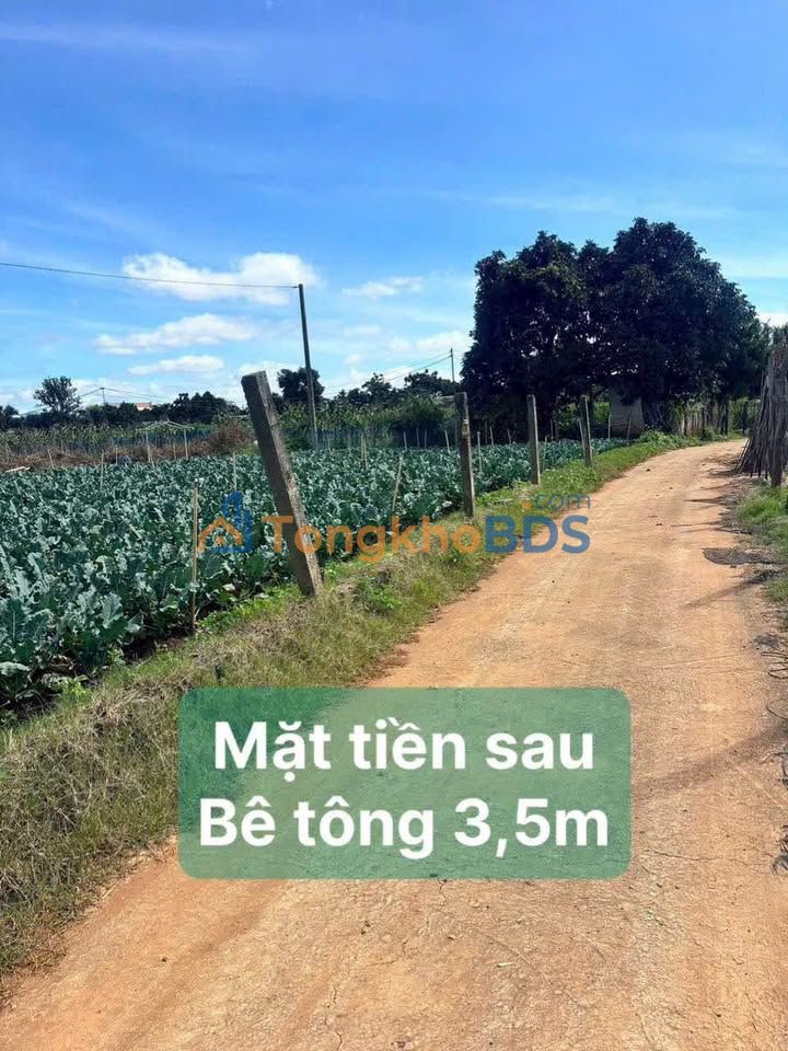 Đất 2 Mặt Tiền Đức Trọng - 945 Triệu Gần TTHC, Sổ Đỏ Sẵn