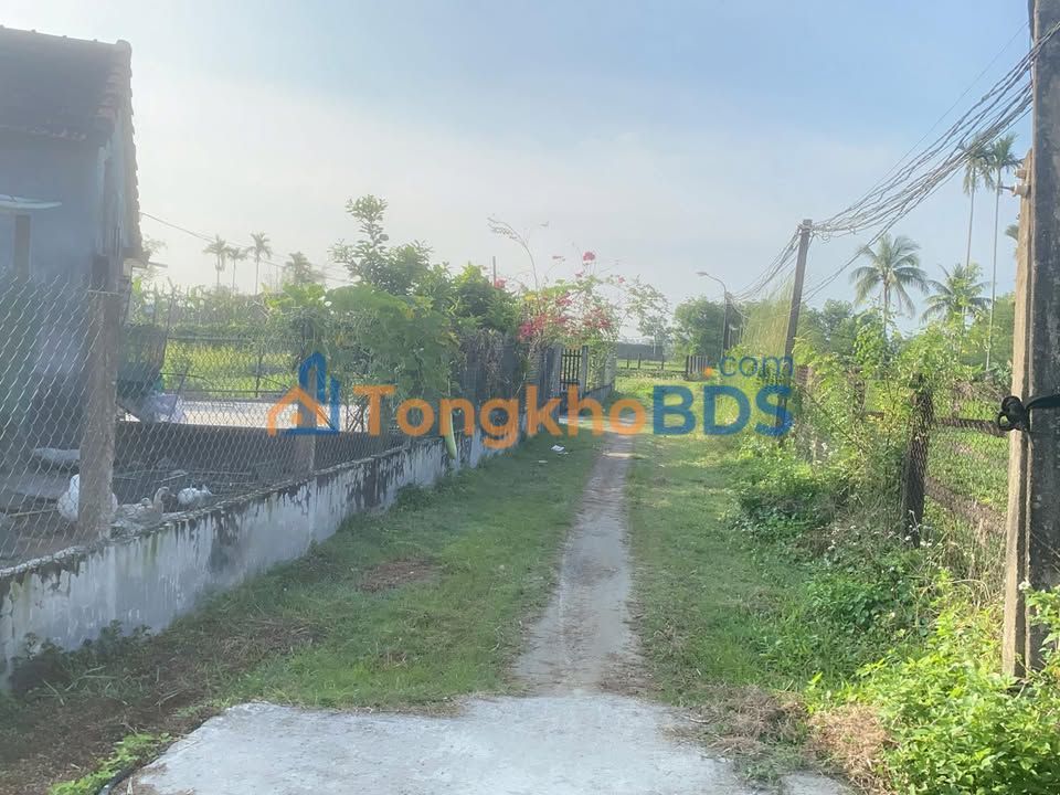 Đất Thổ Cư Thăng Bình 125m² - Sổ Hồng Sẵn Sàng - Giá Tốt Đầu Năm