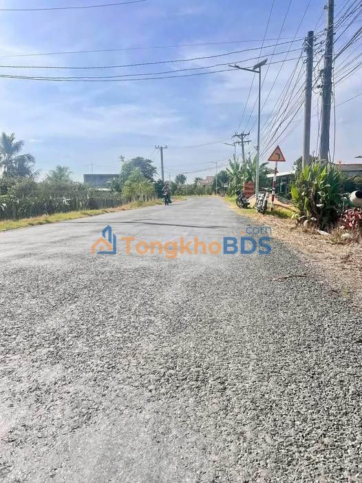 Đất Nền Tầm Vu Long An 1166m² - Chính Chủ Bán Gấp Giá 850 Triệu