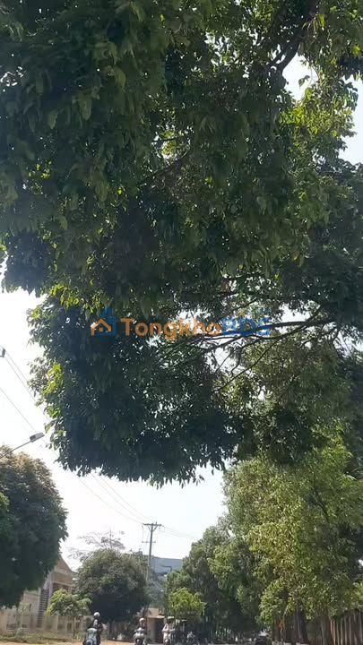 Nhà Mặt Tiền Hàm Nghi, Buôn Hồ - 660m² Giá 4.5 Tỷ