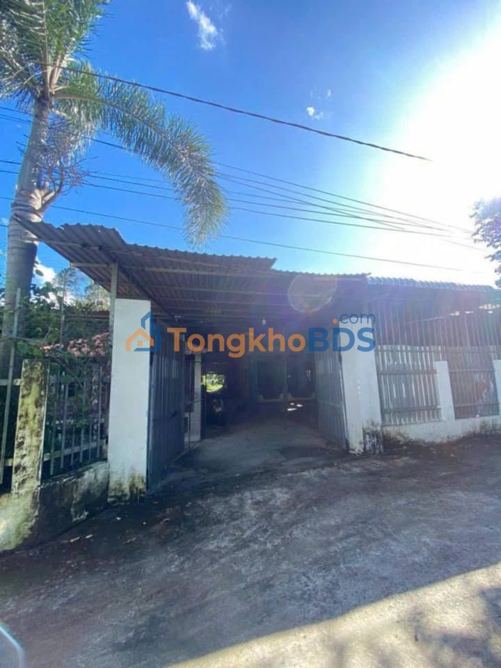 Đất Vườn 4021m² Đồng Tháp - Trồng Sầu Riêng, Mít Thái - Sổ Hồng Chính Chủ