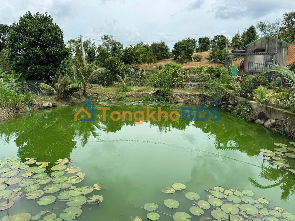 Đất Vườn Lộc Nam, Bảo Lâm 3600m² - Có Nhà, Ao Cá, Vườn Trái Cây - Giá 1.5 Tỷ