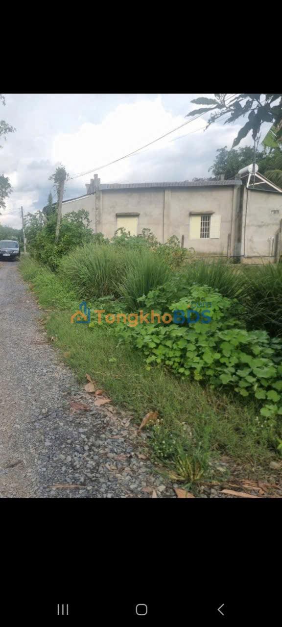 Đất Thạnh Đức Gò Dầu 722m² 650 triệu - Đầu tư dài hạn